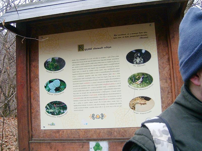 20111210 098.jpg